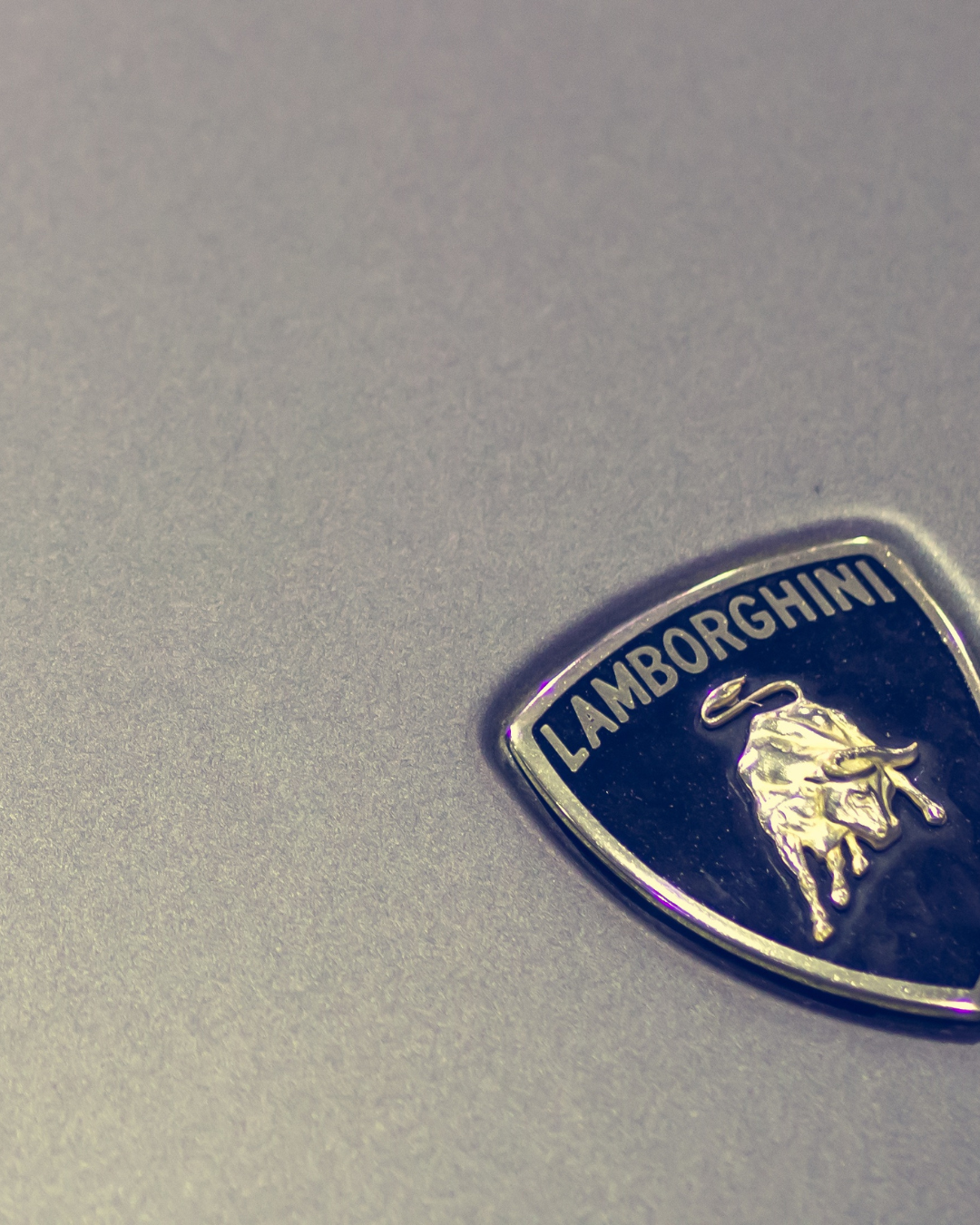 lamborghini hood ornament