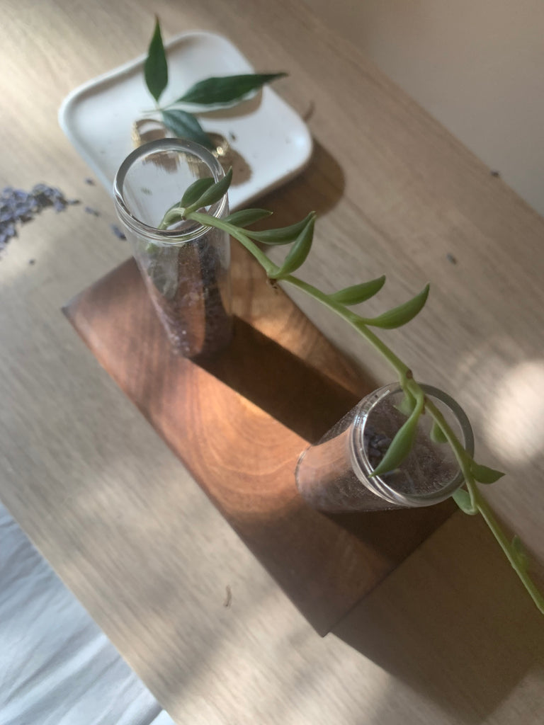 Solid Walnut Glass Test Tube Plant Cradle and Lavender Diffuser