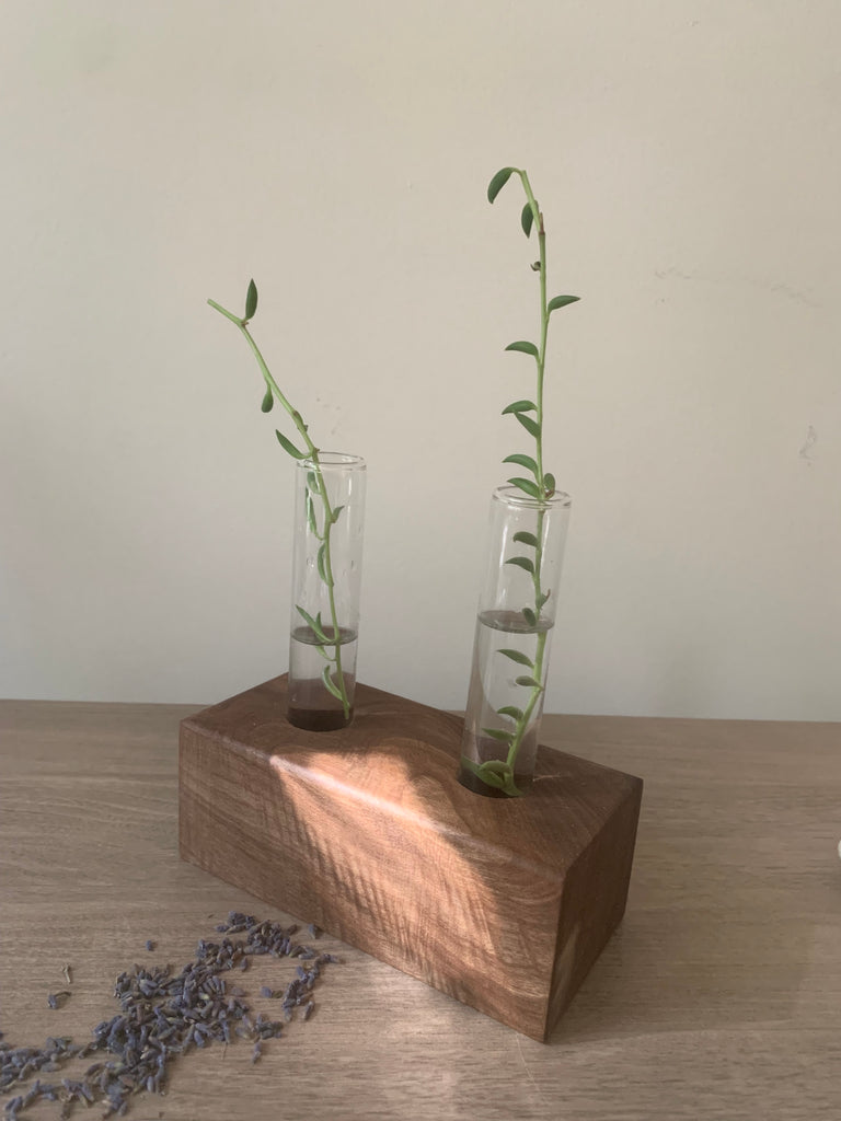 Solid Walnut Glass Test Tube Plant Cradle and Lavender Diffuser